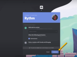 How to Add Rythm Bot to Discord?
